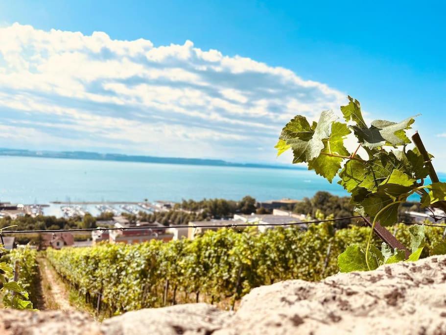 Charmant Appartement De Vacances Alta Ripa Hauterive  Eksteriør billede